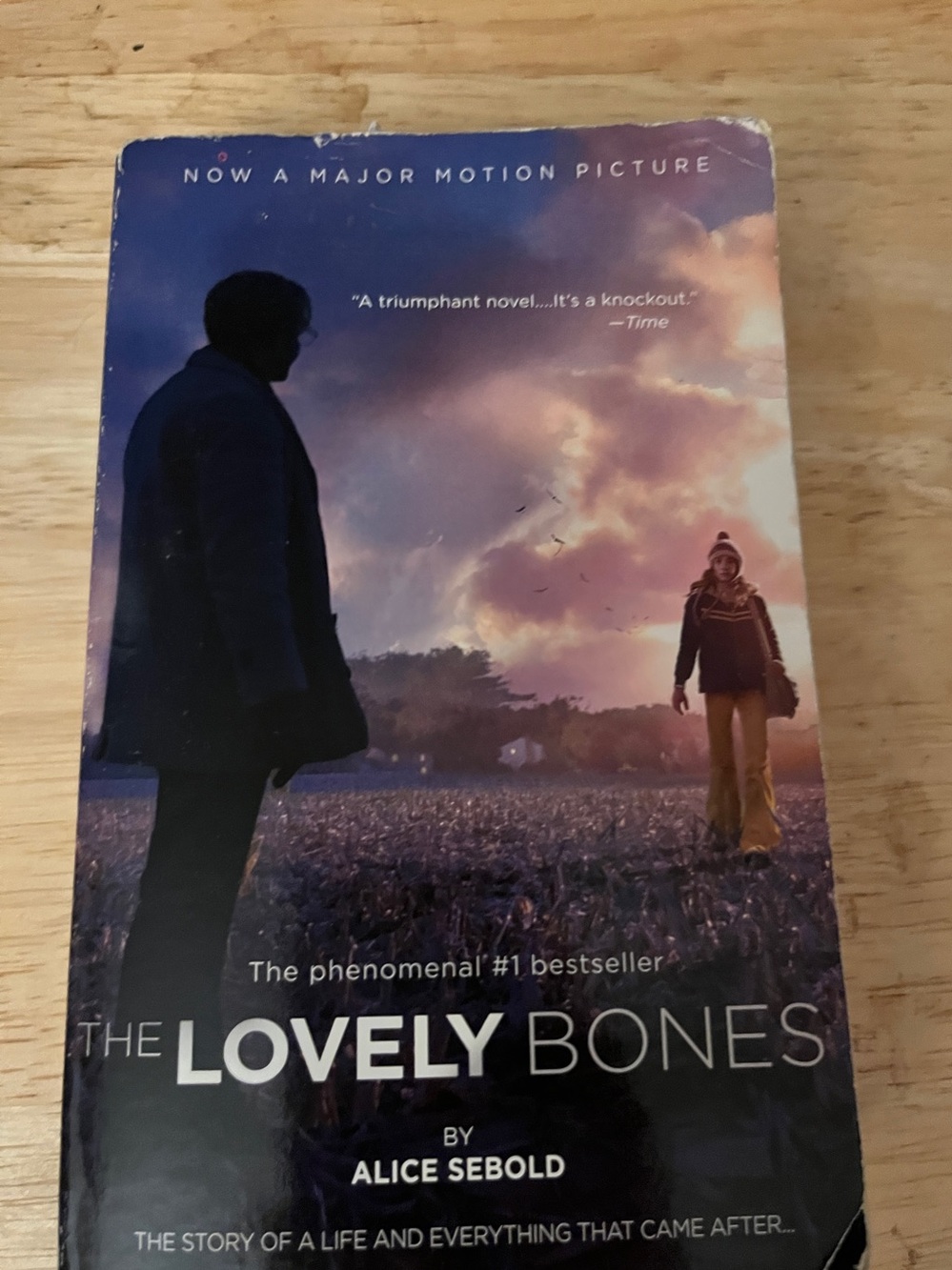 Alice Sebold The Lovely Bones Paperback Book - Purple Cover
